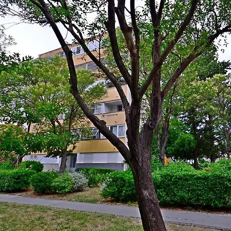Spacious Neven Near Center, With Two Ac Units * Split
